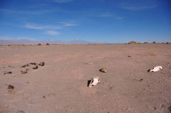 Paisagem do deserto de Atacama, próximo à San Pedro de Atacama, no Chile